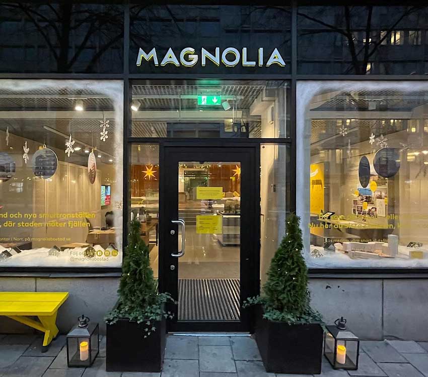 magnolia-image