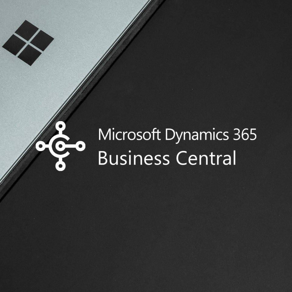 1_1_Microsoft Dynamics Business Central _1080x1080